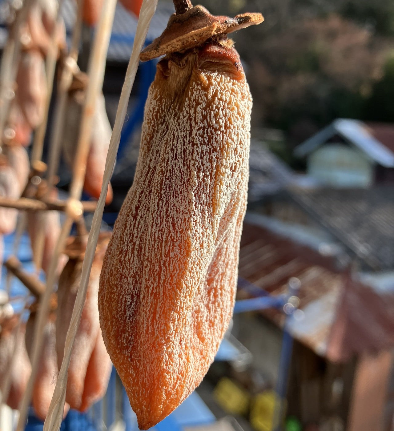 自然のおやつ 干し柿