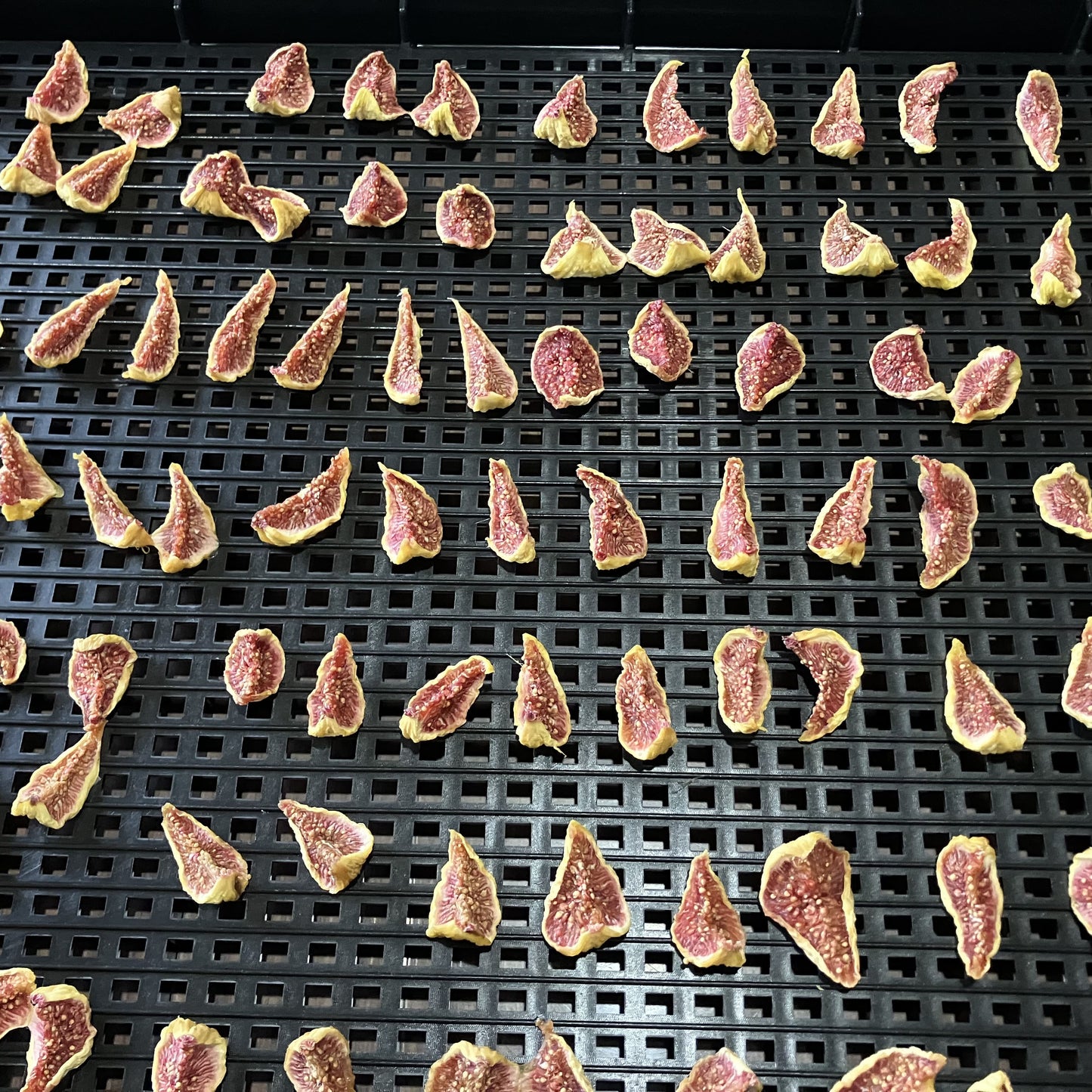 無添加いちじくのドライフルーツ(蓬莱柿)50g
