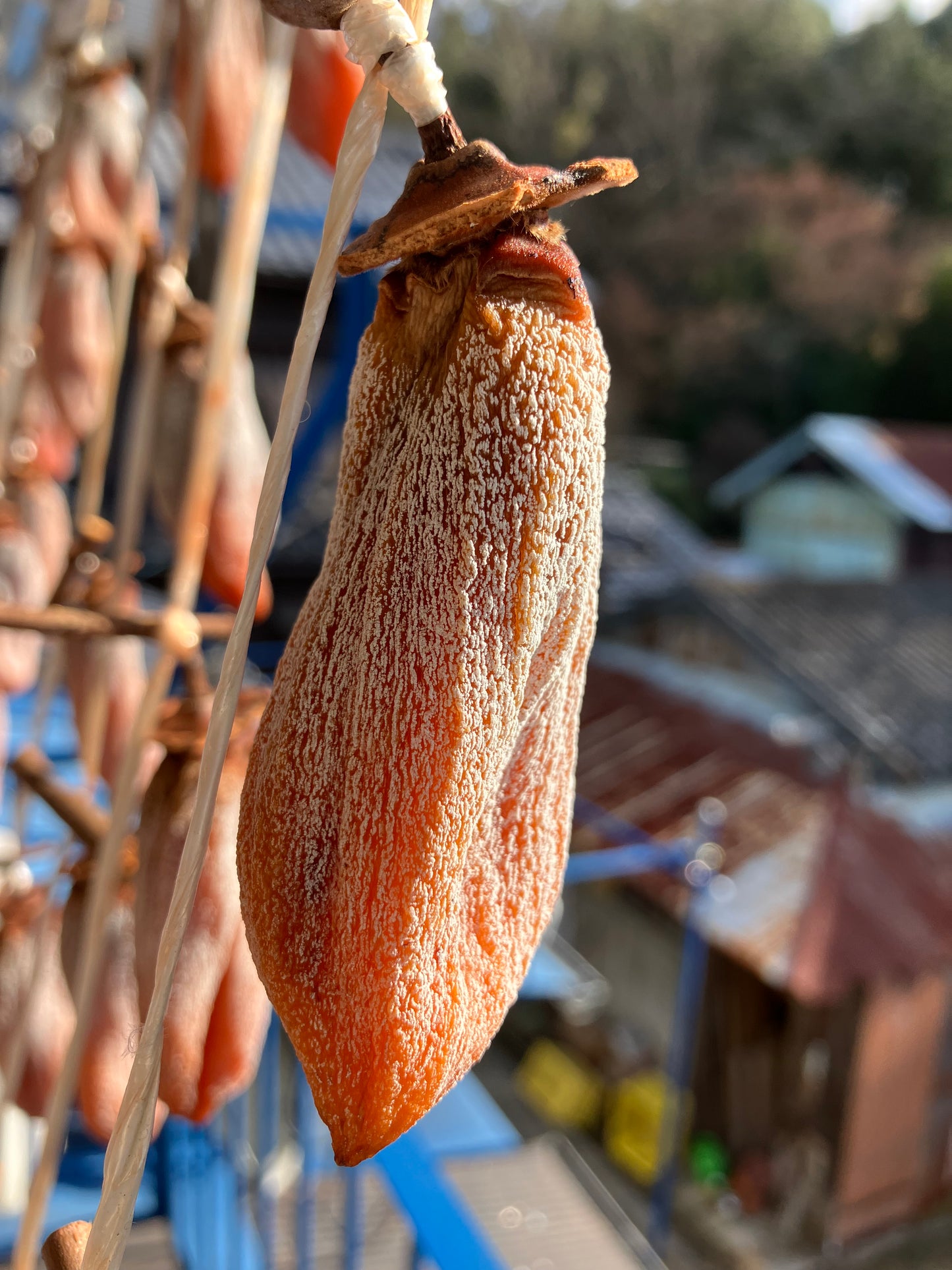 自然のおやつ　干し柿