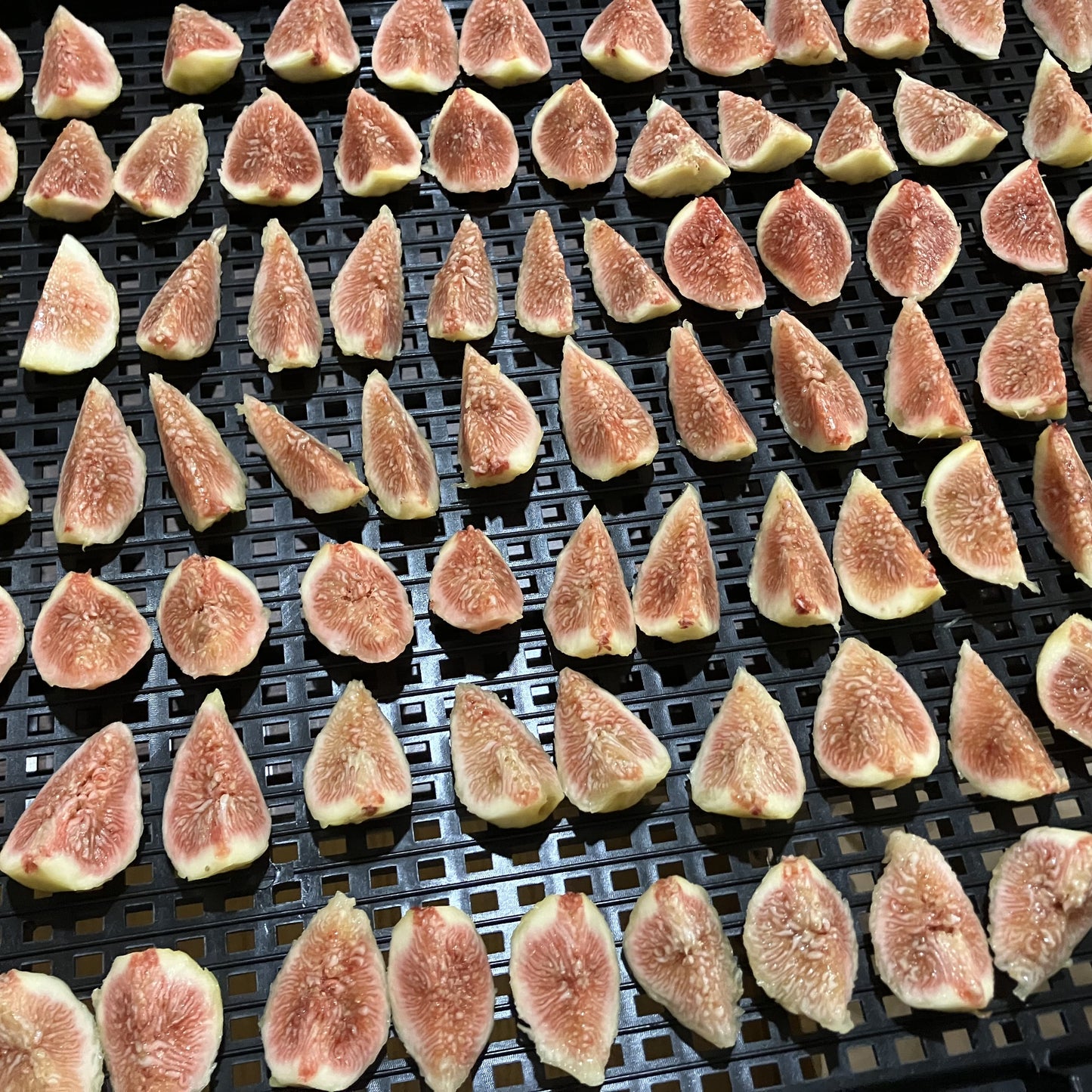 無添加いちじくのドライフルーツ（蓬莱柿）50g