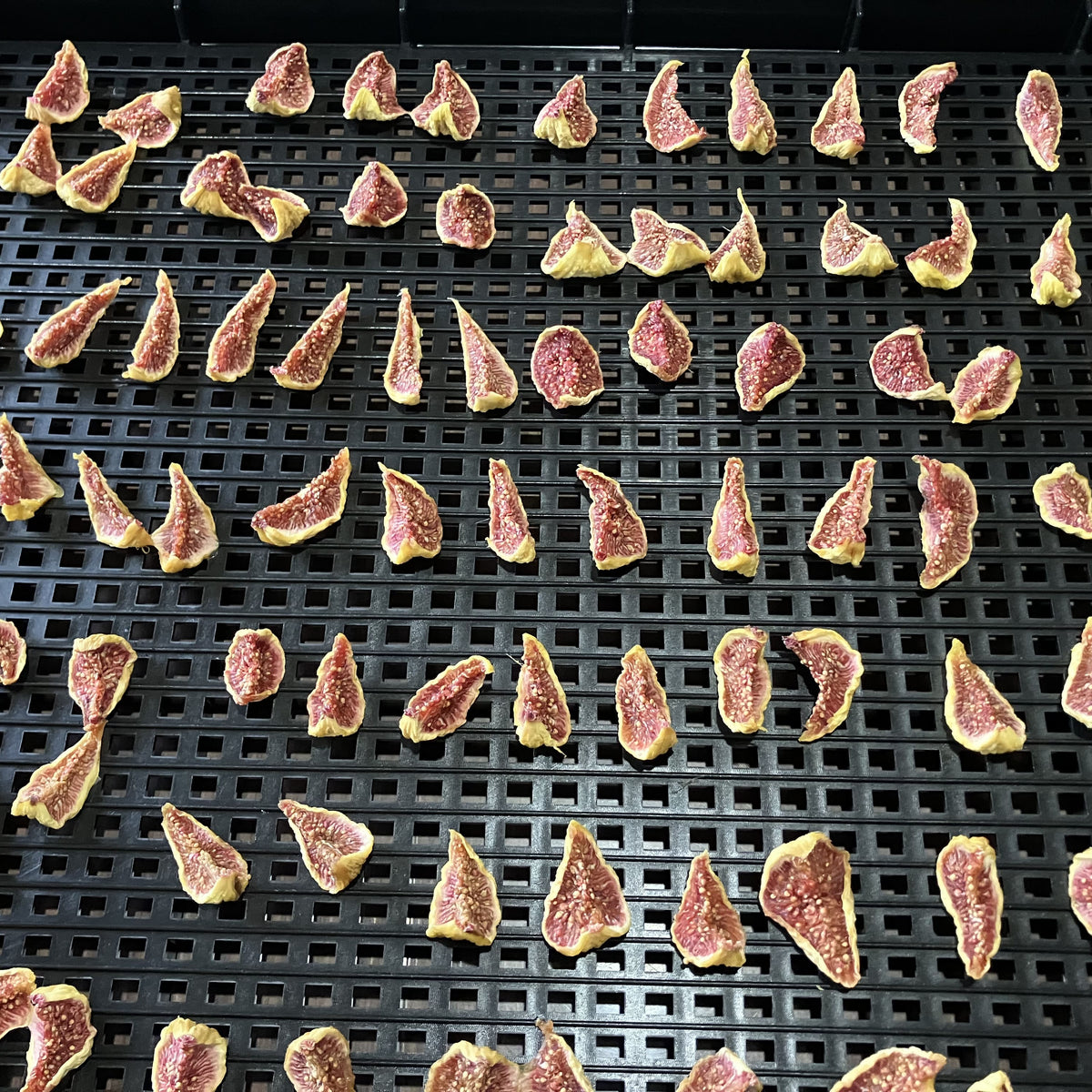 無添加いちじくのドライフルーツ（蓬莱柿）50g
