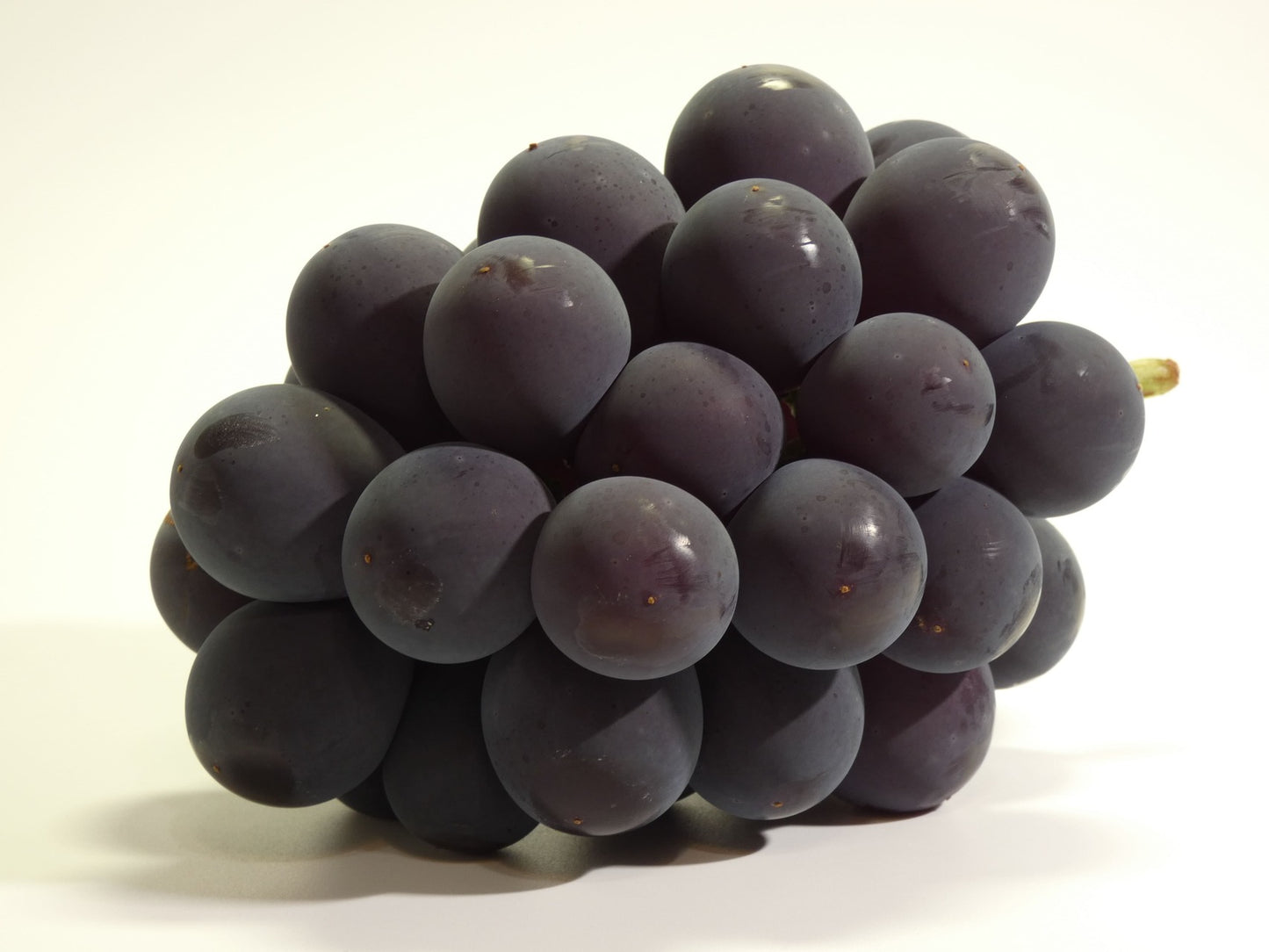 送料無料！黒い真珠ピオーネ（500ｇ前後×２房～4房）