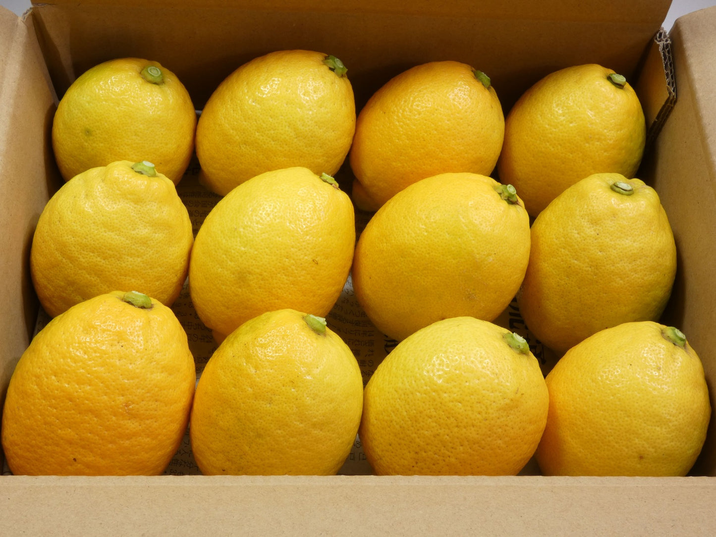 ぽん酢とセット！皮まで使える百島レモン　M～Lサイズ　約８個