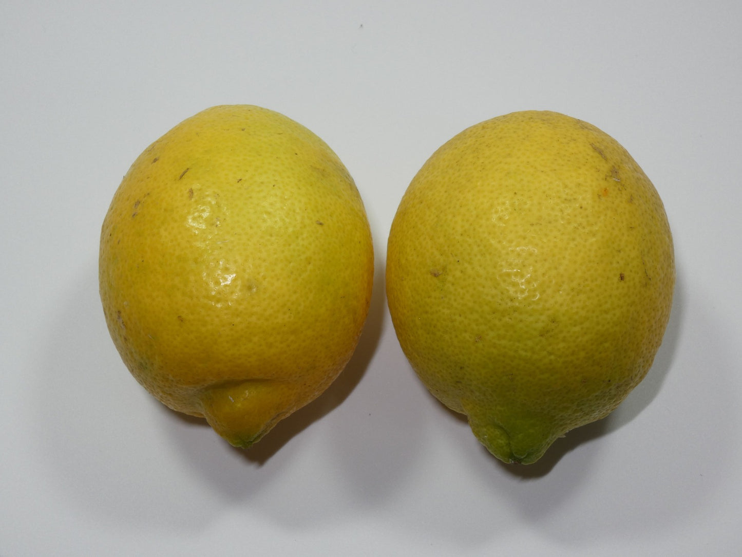 ぽん酢とセット！皮まで使える百島レモン　M～Lサイズ　約８個