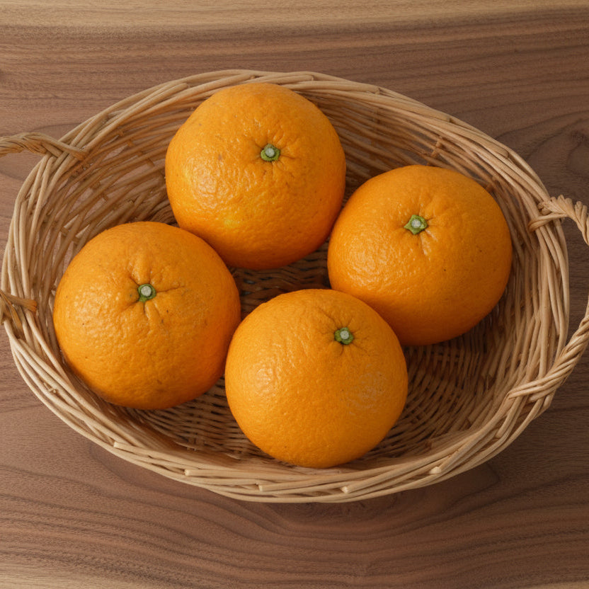 甘夏　５ｋｇ（栽培期間中農薬不使用）M玉中心