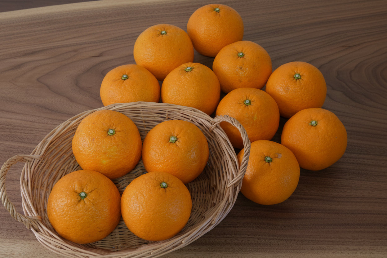 甘夏　５ｋｇ（栽培期間中農薬不使用）M玉中心