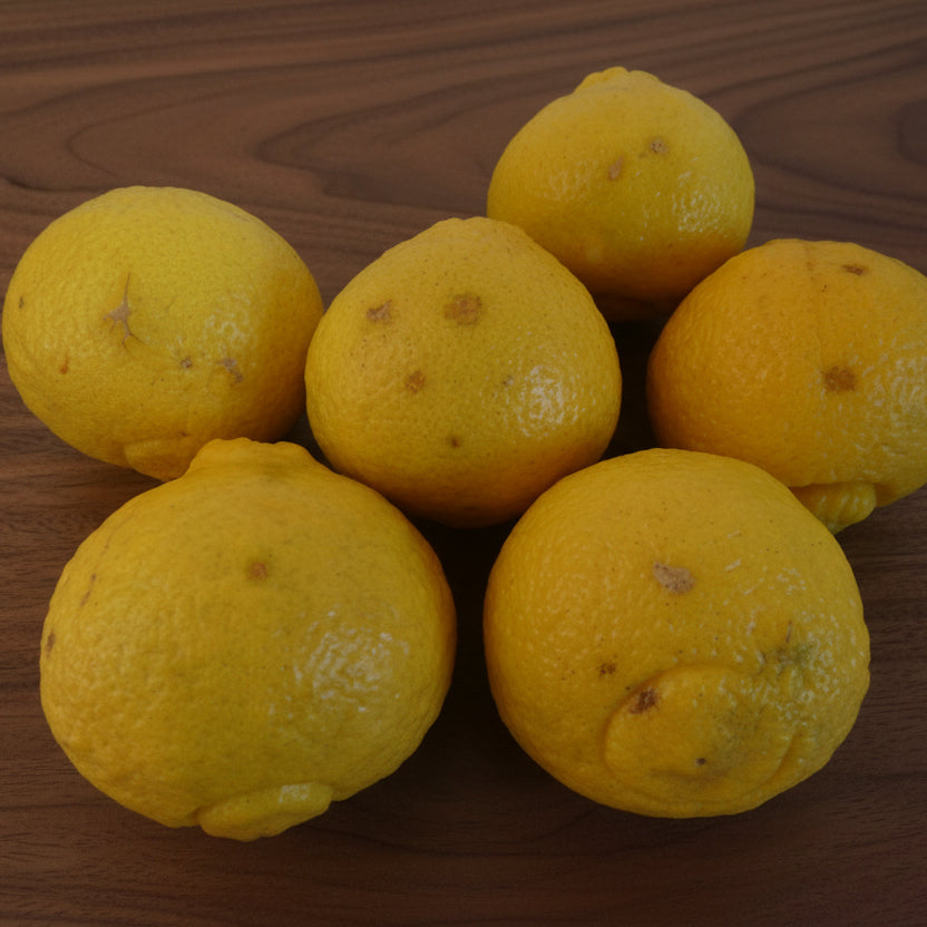 訳あり はるか 5kg　M玉中心